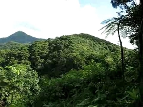 Martinique 001 - Ballade montagne pelée