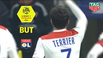 But Martin TERRIER (15ème) / Olympique Lyonnais - EA Guingamp - (2-1) - (OL-EAG) / 2018-19