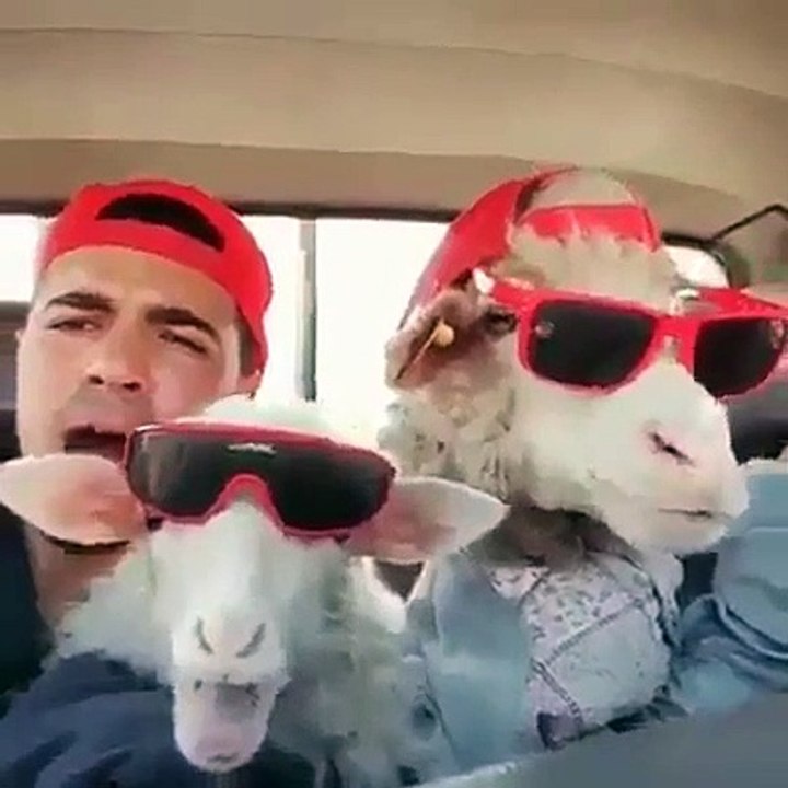 Un italien pas comme les autres