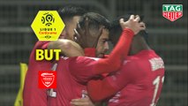 But Téji SAVANIER (28ème) / Nîmes Olympique - Dijon FCO - (2-0) - (NIMES-DFCO) / 2018-19