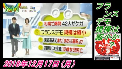 11-4 Zip !、フランス、デモ規模は縮小か？菜々子の独り言　2018年12月17日(月）