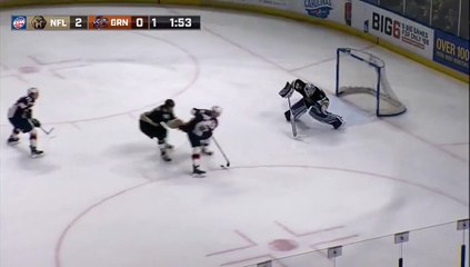 ECHL Newfoundland Growlers 3 at Greenville Swamp Rabbits 1