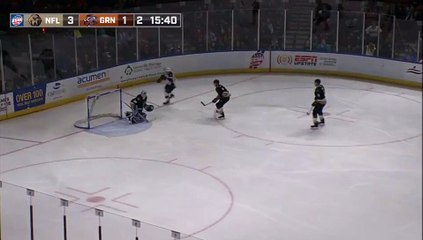 ECHL Newfoundland Growlers 3 at Greenville Swamp Rabbits 4