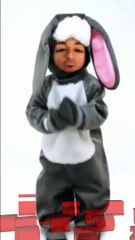 Les Snouksis - Lapin