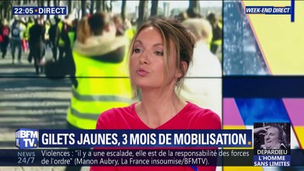 Gilets jaunes: trois mois de mobilisation (1/2)