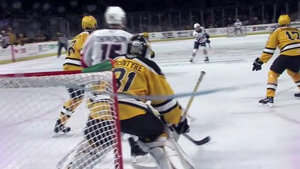 AHL Springfield Thunderbirds 5 at Providence Bruins 1