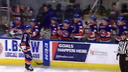 Bridgeport Sound Tigers vs. Charlotte Checkers - February 17, 2019