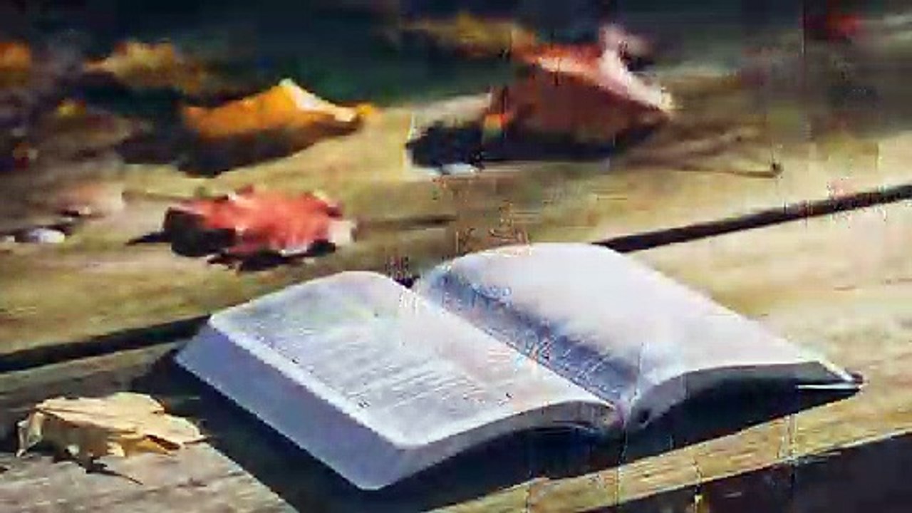 SALMOS 26 (NOVA TRADUÇÃO NA LINGUAGEM DE HOJE)