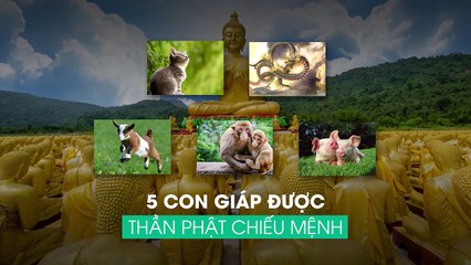 5 con giáp được Thần Phật chiếu mệnh, gặp dữ hoá lành, phúc phần vô biên
