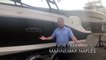 2019 Sea Ray 230 SPX-OB for Sale at MarineMax Naples Yacht Center