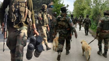Pulwama Search Operation : जैश ए मोहम्मद से मुठभेड़ में कई जवान शहीद, WATCH VIDEO | वनइंडिया हिंदी