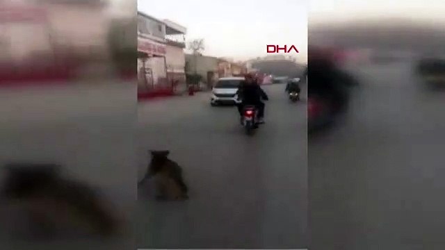 Ankara’da magandalar dehşet saçtı