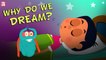 Why Do We Dream? | The Dr. Binocs Show | Best Learning Videos For Kids | Peekaboo Kidz