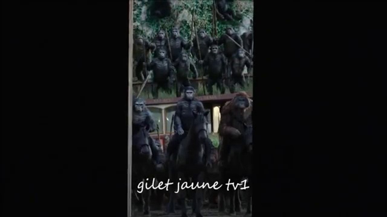 10000000_386104645281606_1984274731438683061_n.mp4
