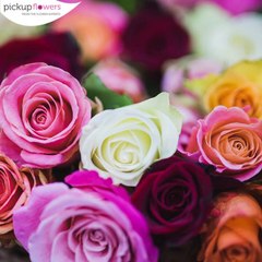 What Does the Color of Your Valentine's Day Roses Say?