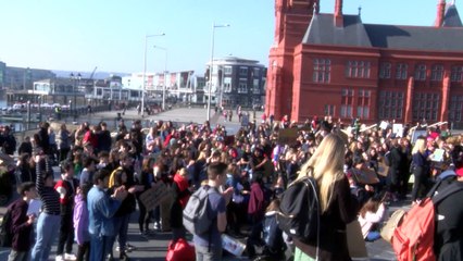 Brynmor's Thoughts on The Organisers Youth Strike 4 Climate!