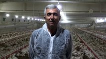 Emekli astsubay devlet desteğiyle çiftlik kurdu - MALATYA