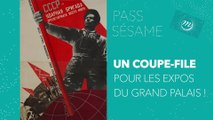 Pass Sésame : les expos en illimité au Grand Palais !