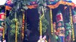 தென்காசியில் வருடாந்திர மாசி மகம் தேரோட்டம்-வீடியோ