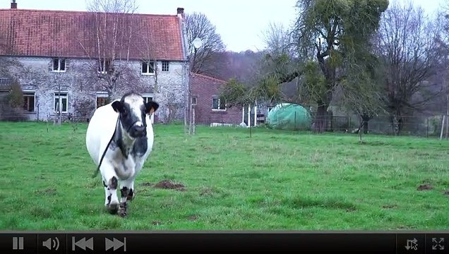 Qui est Imminence, l'égérie du Salon de l'agriculture ?