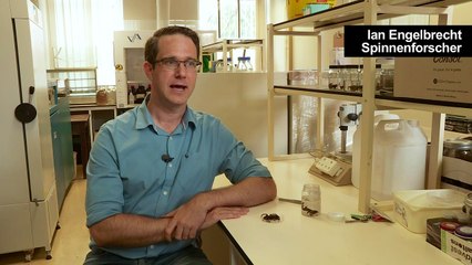 Bizarre Vogelspinne mit Horn gibt Rätsel auf