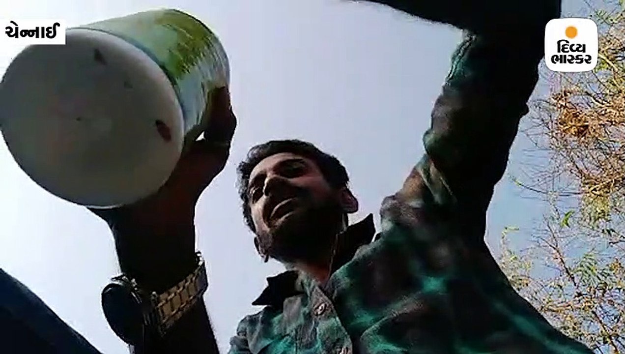 Divya bhaskar videos