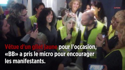 « Ne lâchez rien » : Brigitte Bardot n'abandonne pas les Gilets jaunes