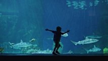 Comment réaliser un aquarium marin