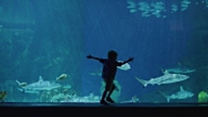 Comment réaliser un aquarium marin