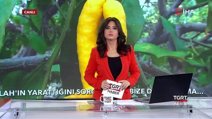 Biber Görünümlü Limon Şaşırttı