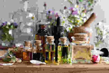 Les différents types de plantes médicinales