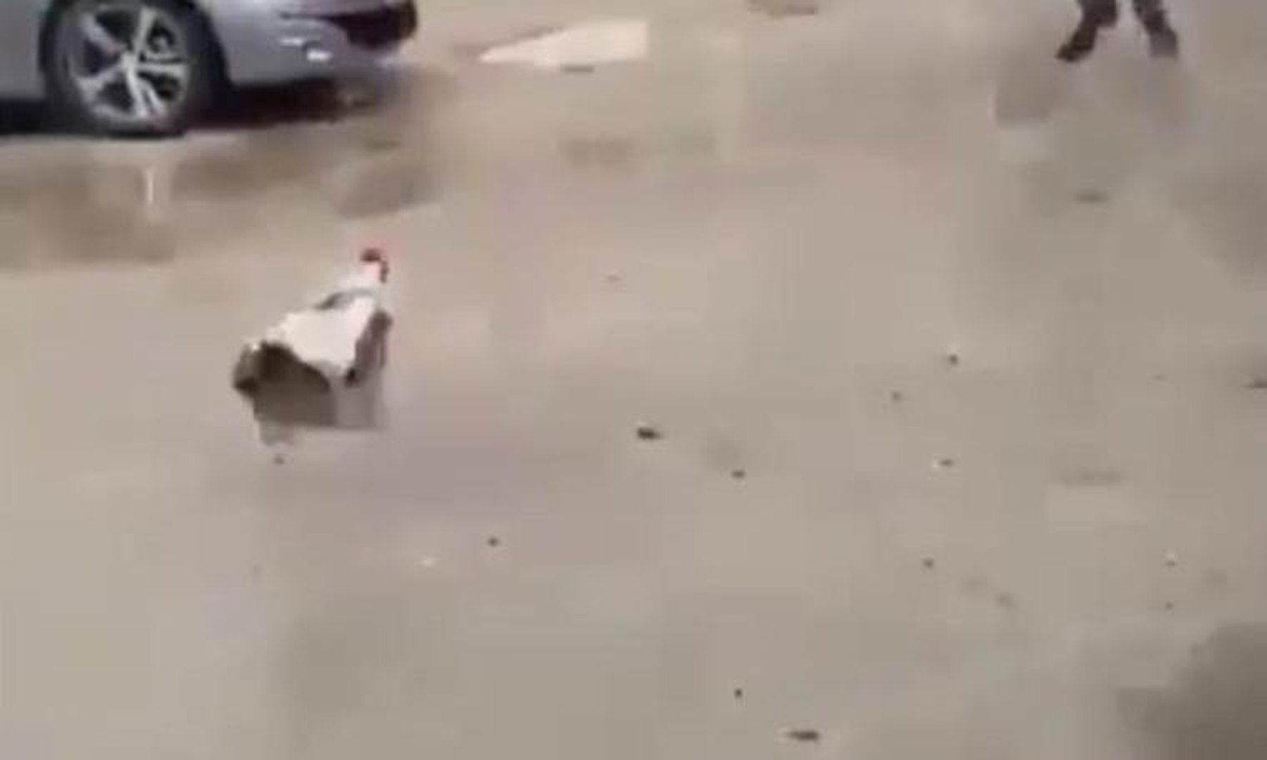 Onam qiziga jinsiy aloqa qilish uchun yigladi