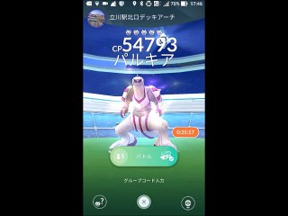 パルキア　サークル固定