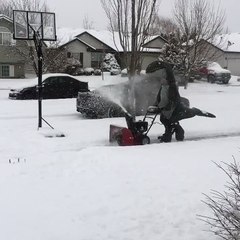Velociraptor Fights Ice Age One Driveway at a Time