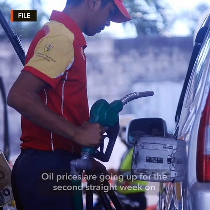 Oil prices to rise for 2nd straight week on February 19