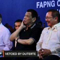 Duterte veto: Coconut trust fund bill may be unconstitutional