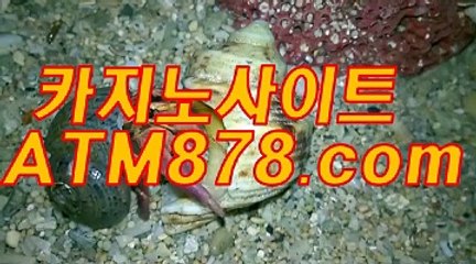 해외카지노폰배팅바카라 【【T T S 3 3 2.coM】】 스포츠사다리사이트