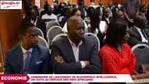 L`intelligence économique, un outil au service des pays africains