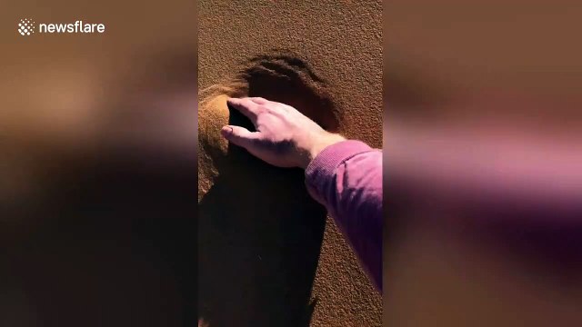 Slight ripple on sand dunes in Sahara creates miniature avalanche