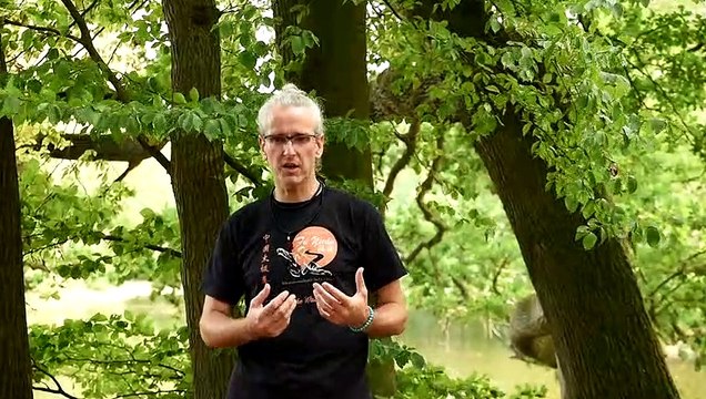 Tai Chi at Home hoe en waarom? Door Douwe Geluk van Tai Chi Apeldoorn Fu Yuan