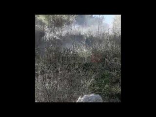 Report Tv-Elbasan, një sipërfaqe me ullinj dhe shkurre përfshihet nga flakët