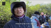[NATURE]  The filming team to cope with the bear's threat,창사특집 UHD 다큐멘터리 곰 20190218