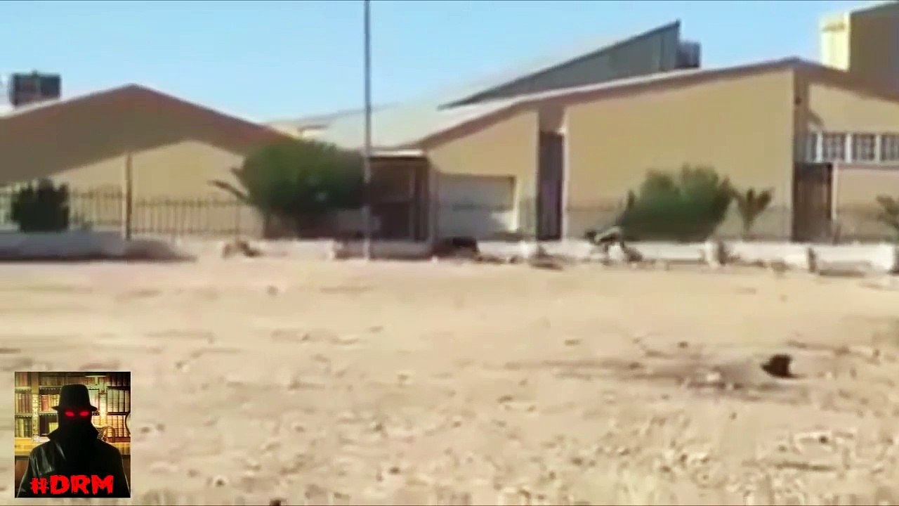 Criatura estranha metade homem e metade cão (verdadeiro ou falso)