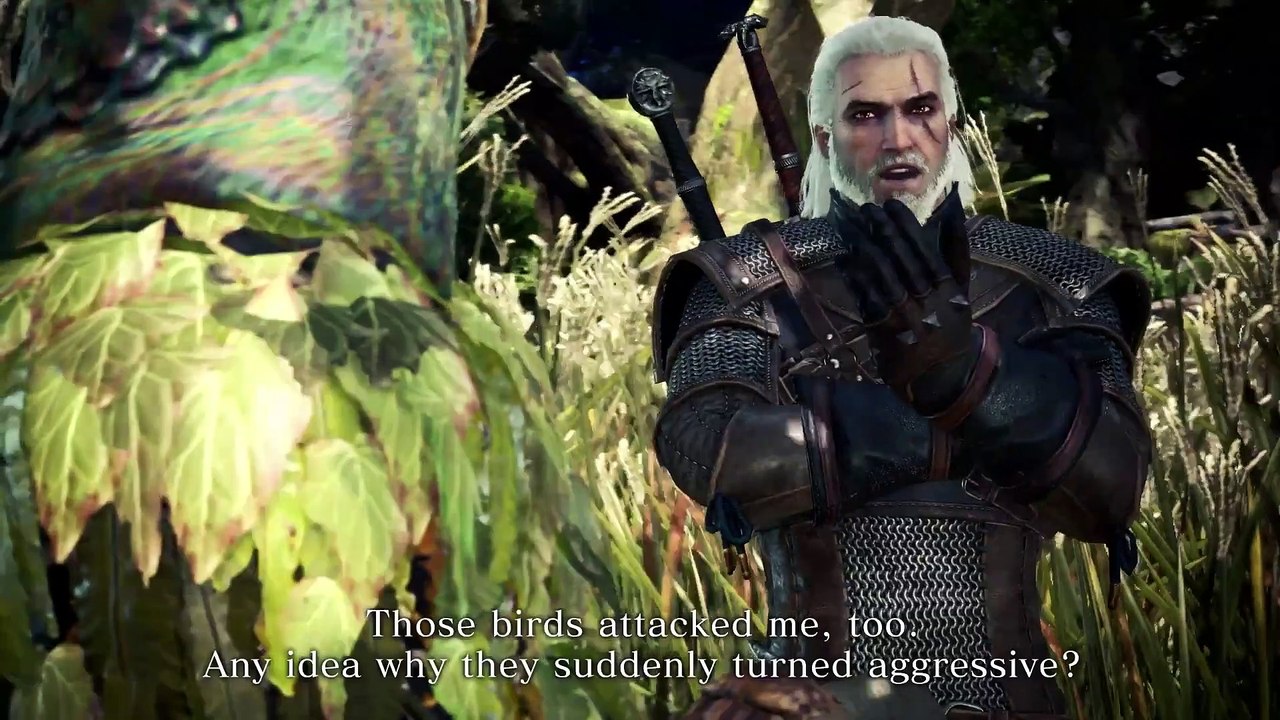 Monster Hunter World - The Witcher