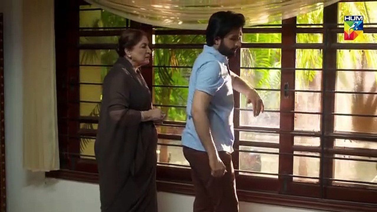 Aatish Epi 27 HUM TV Drama 18 February 2019