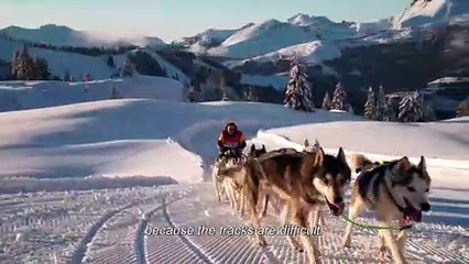 Episode 08 - Ma Première Odyssée ST