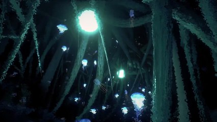 Conarium - Tráiler de consolas