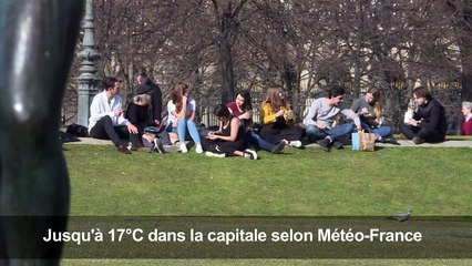 Le printemps avant l'heure réjouit Parisiens et touristes