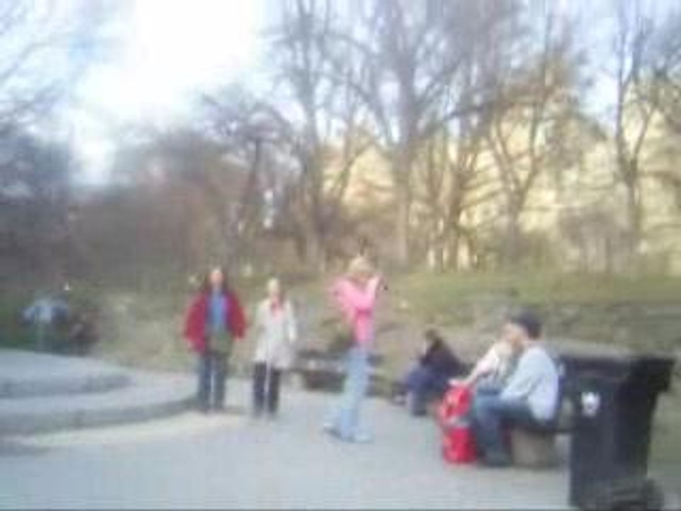 Central park in NYC
