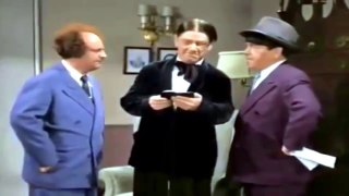 Brideless Groom: The Three Stooges Moe , Larry & Shemp Comedy Movie